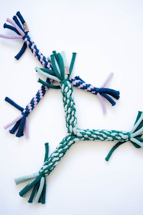 Triangle Flyer – Durable 3-Way Throw & Tug Dog Toy