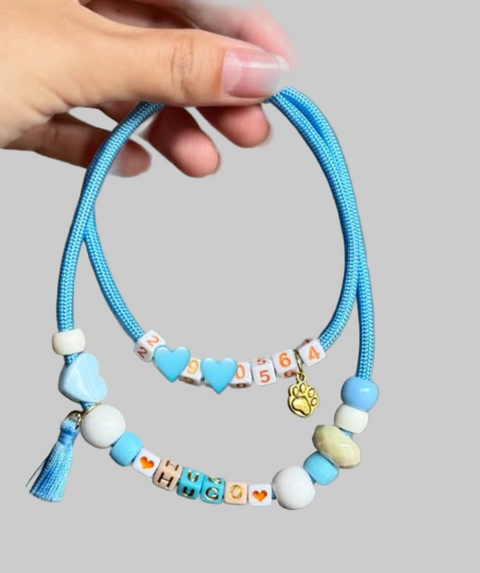 Paw Tag – Personalized ID Tag for Your Pup